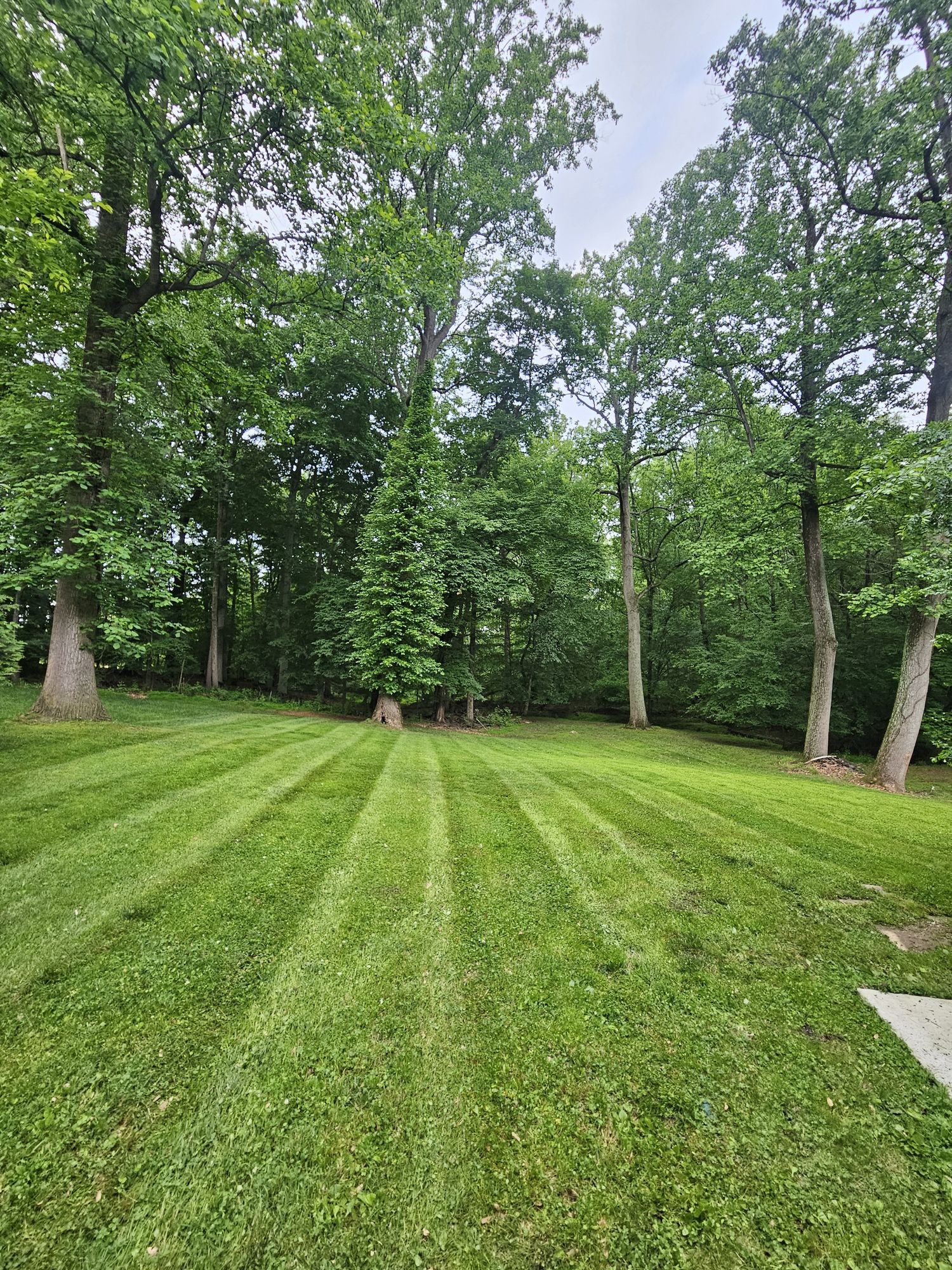 Project photo