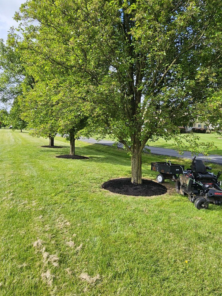 Graybeal Outdoor Services project photo