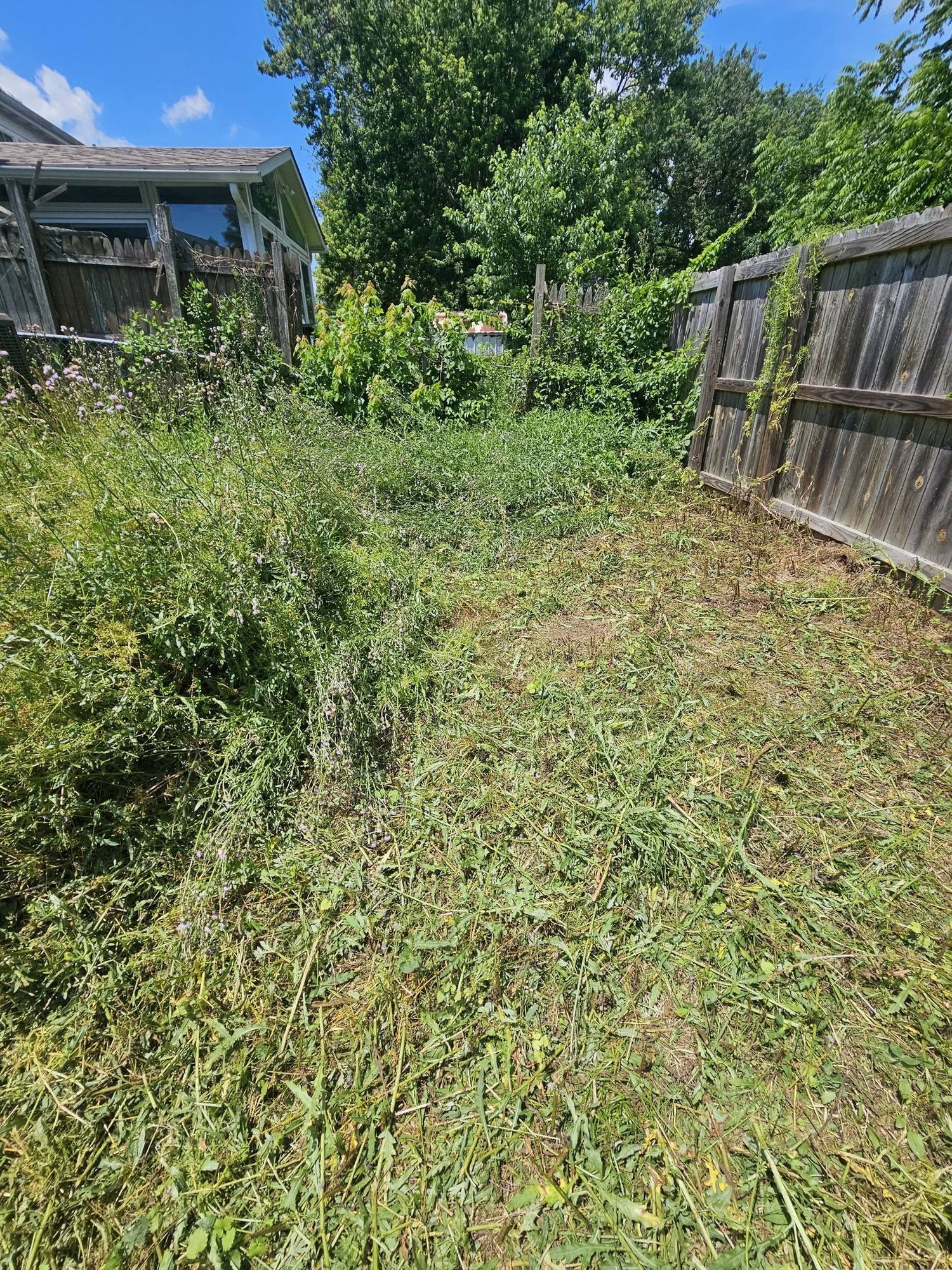 Graybeal Outdoor Services project photo